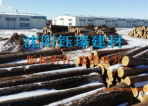 辽源木材市场全解析 木方价格、批发市场与建筑模板批发现状